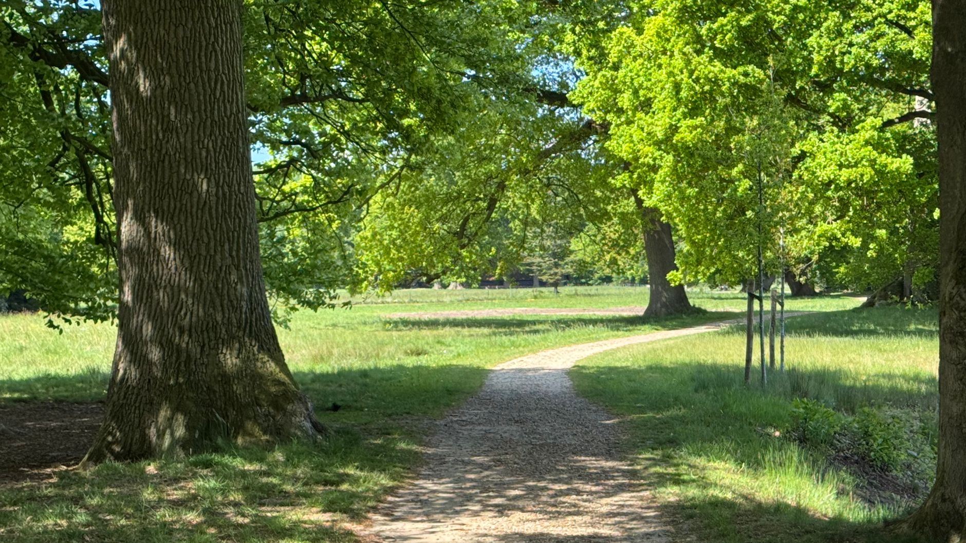 Lutte contre les nuisibles à Corbeil-Essonnes